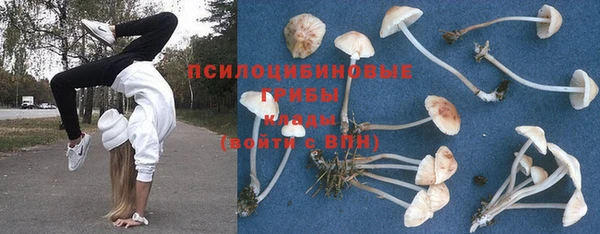 COCAINE Бородино